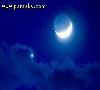 زیبایی بدون مرز