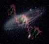 آیا ساخت کربن-12 در ستارگان، کیهانی سازگار برای زندگی را نشان می دهد؟