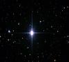 ده ستاره‌ی پرنور آسمان : (۸) شعرای شامی