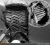 تصويري از نخستين گام «كنجكاوي» در سطح سياره سرخ