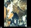 نخستین تصویر مدارگرد مریخ هند از زمین