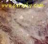طوفان در ایران از دید ماهواره ها