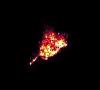 گزارش رصد سقوط ماهواره ROSAT در اقیانوس هند