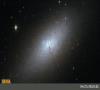 یک کهکشان کوتوله به شکار «هابل» درآمد