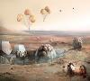 زندگی در مریخ تا دهه 2030 قطعیت خواهد یافت؟