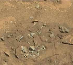 در تازه‌ترین بلوف «وجود حیات بیگانه بر روی سیاره مریخ» کاوشگر کنجکاوی تصویری را به زمین مخابره کرد که به یک استخوان پا شباهت دارد، اما تحقیقات بیشتر ناسا نشان داد این تصویر در واقع یک صخره مریخی است.