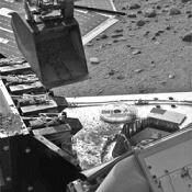 جدید ترین اطلاعات دریافتی از فينيكس نشان می دهد که خاک مریخ توانایی پشتیبانی از حیات را دارد 

