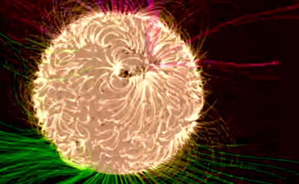 ناسا از نخستین مدل ویدئویی بسیار جالب خورشید رونمایی کرده که رفتار میدان مغناطیسی را به نمایش گذاشته است.