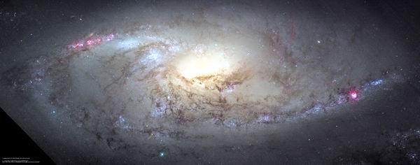 یک تصویر بسته از کهکشان M106 در صورت فلکی دب اکبر که توسط دوربین های تیزبین ACS  هابل گرفته شده است .