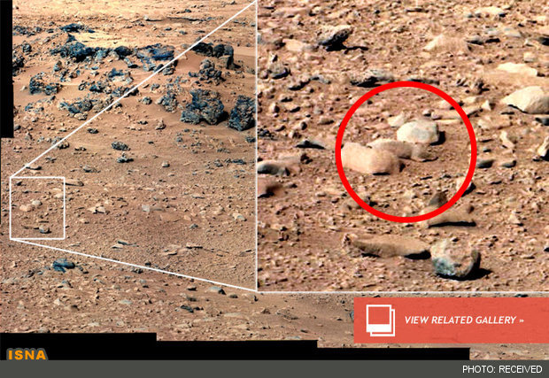 کاوشگر کنجکاوی ناسا در سپتامبر 2012 تصویری پانورامایی را در مکان Rocknest مریخ رصد کرد و اسکات سی. وارینگ یک موش صحرایی را در تصویر کشف و آن را به وب‌سایت UFO Sightings Daily ارسال کرد.