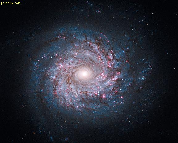 کهکشان NGC 3982  حدود 68 میلیون سال نوری دور از ما در جهت صورت فلکی خرس بزرگ