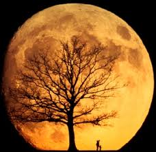 دانشمندان می گویند: ممکن است زمین زمانی دو قمر داشته است ، اما یکی در برخوردی آهسته که با به وجود آوردن گوی ماه فعلی که در یک طرف ناصاف  تر است  نابود شده است.