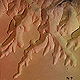 فضاپیمای «مارس اکسپرس» آژانس فضایی اروپا (اسا) اخیرا تصویر فوق العاده دقیقی را از کانالهای سطح مریخ به زمین ارسال کرد. 
